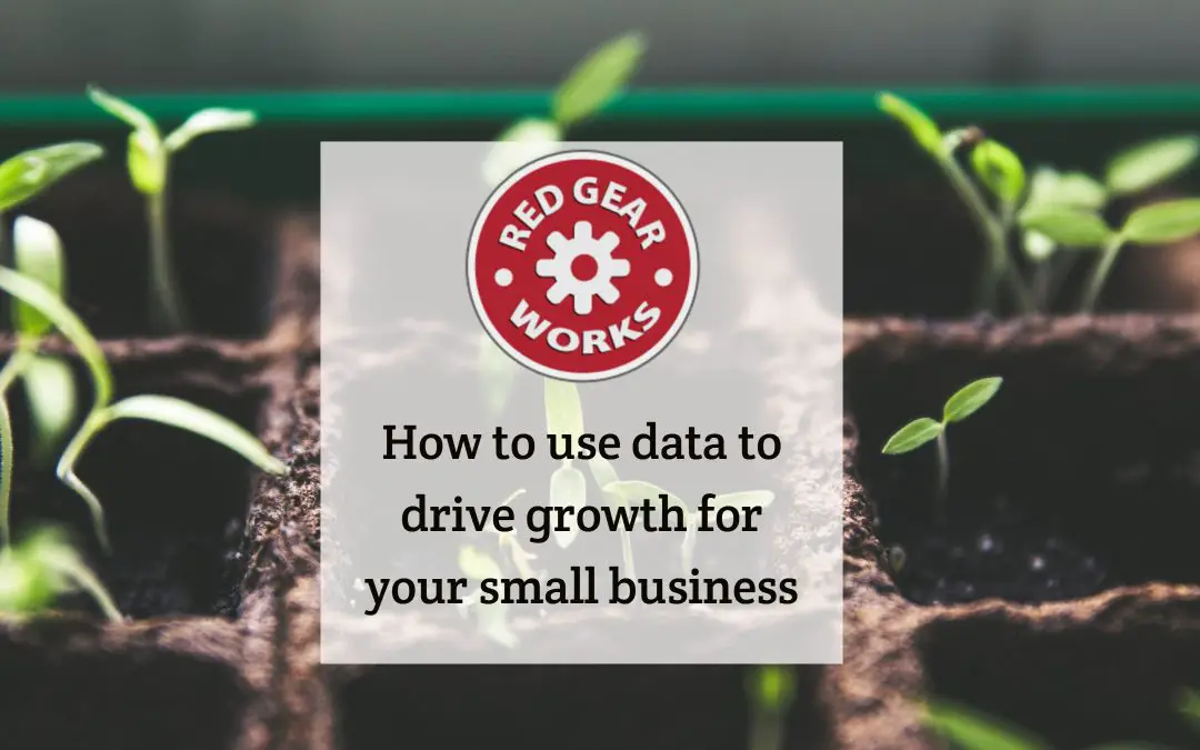 How to use data to drive growth for your small business