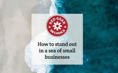 How to stand out in a sea of small businesses
