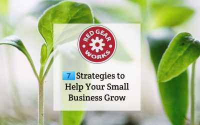 7 Strategies to Help Your Small Business Grow