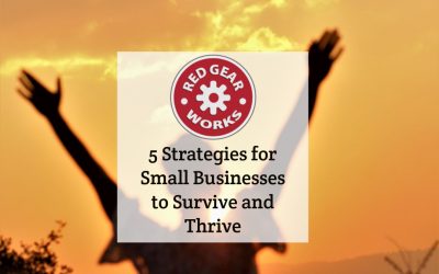 5 Strategies for Small Businesses to Survive and Thrive