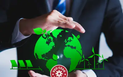Building Green from the Ground Up: Crafting an Eco-Conscious Business and Marketing Strategy